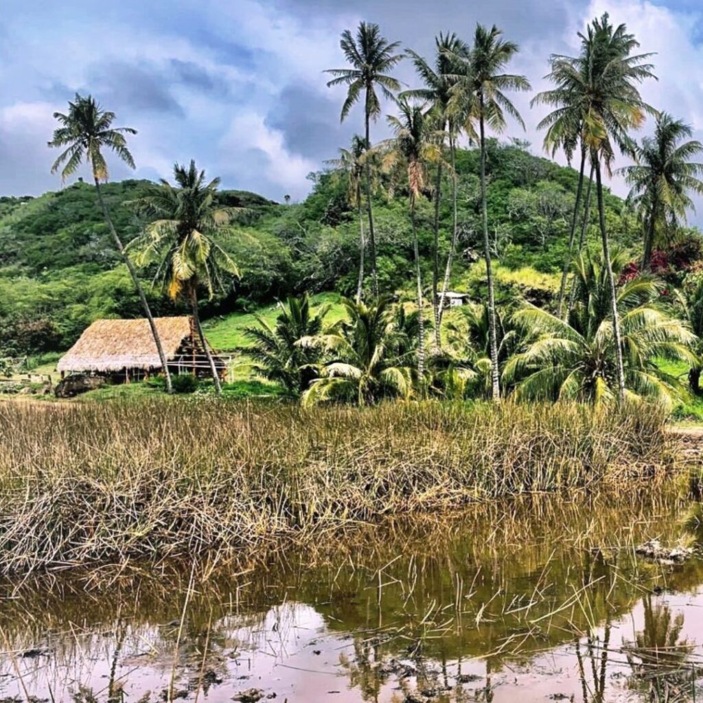 Guide to Volunteering on Oahu: 14 Unforgettable Ways to Give Back Hawaii Calling a body of water with trees and a hut on the side