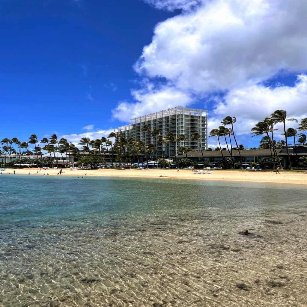 Aloha Heart: A Tale of Love and Conservation in Hawaii Hawaii Calling Aloha Heart was filmed here at the Kahala Hotel and Resort