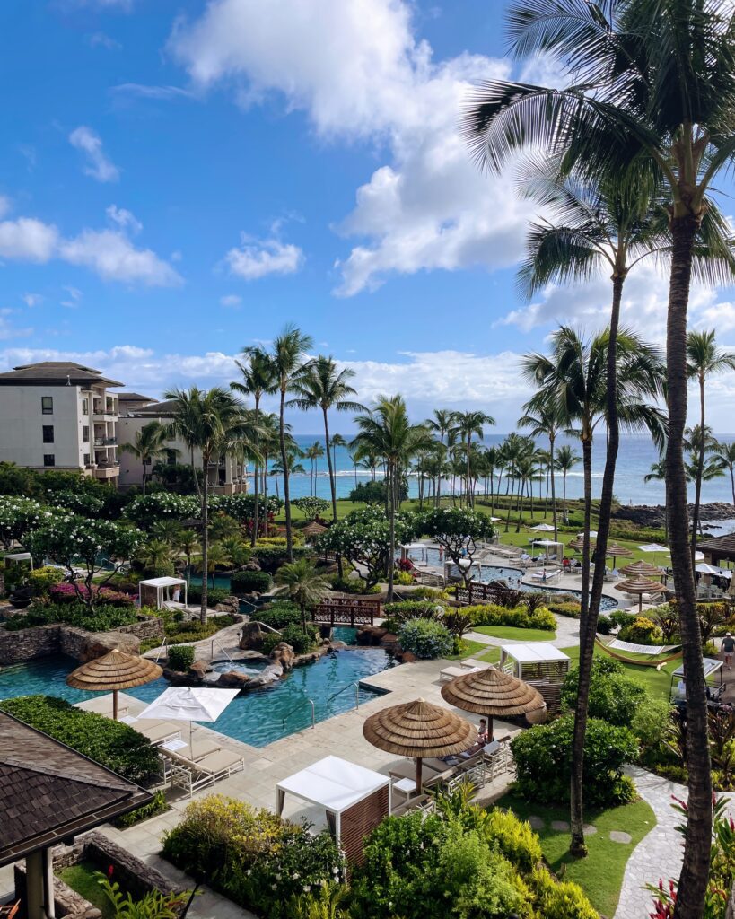 Review Montage Kapalua Bay | Maui Luxury Hawaii Calling a pool with palm trees and buildings and a body of water
