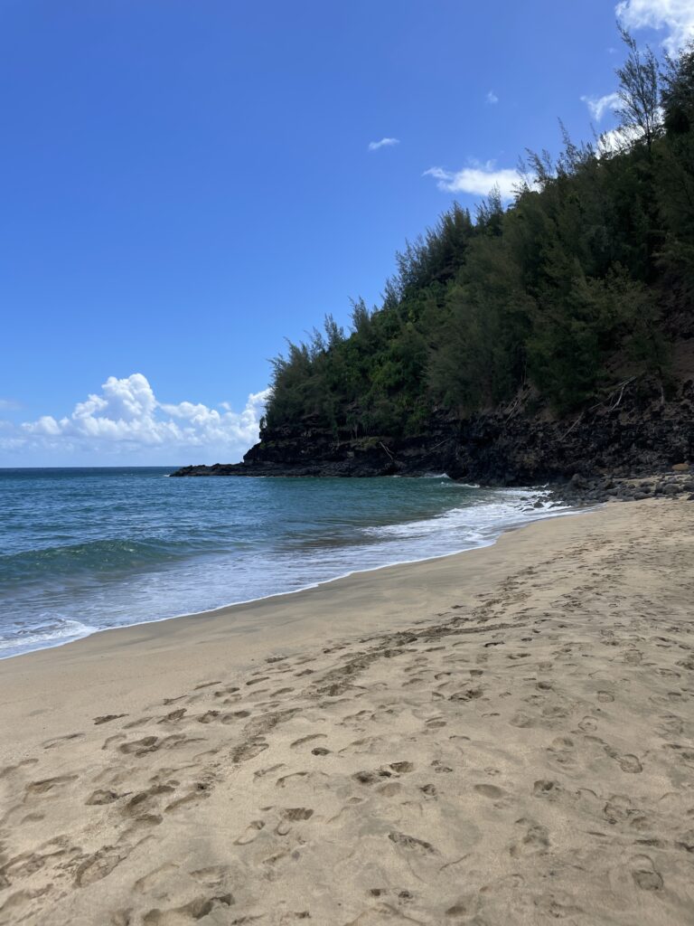Kalalau Trail Adventure: My Unforgettable Hiking Experience on Kaua'i Hawaii Calling a sandy beach with trees and water