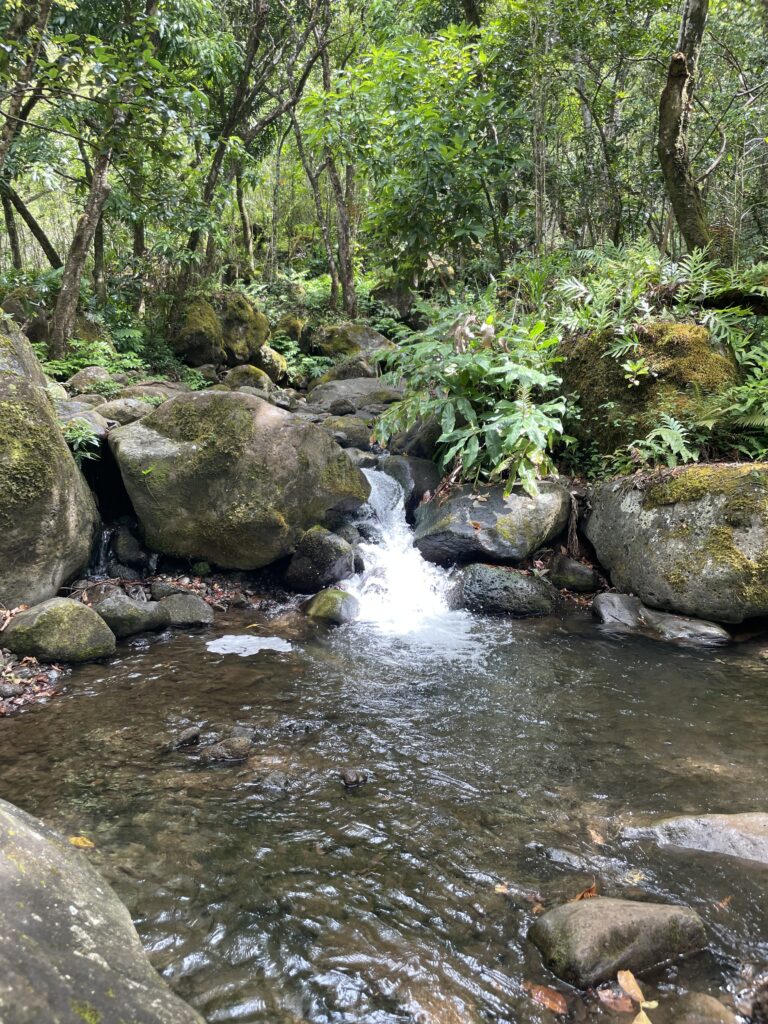 Kalalau Trail Adventure: My Unforgettable Hiking Experience on Kaua'i Hawaii Calling a stream in a forest
