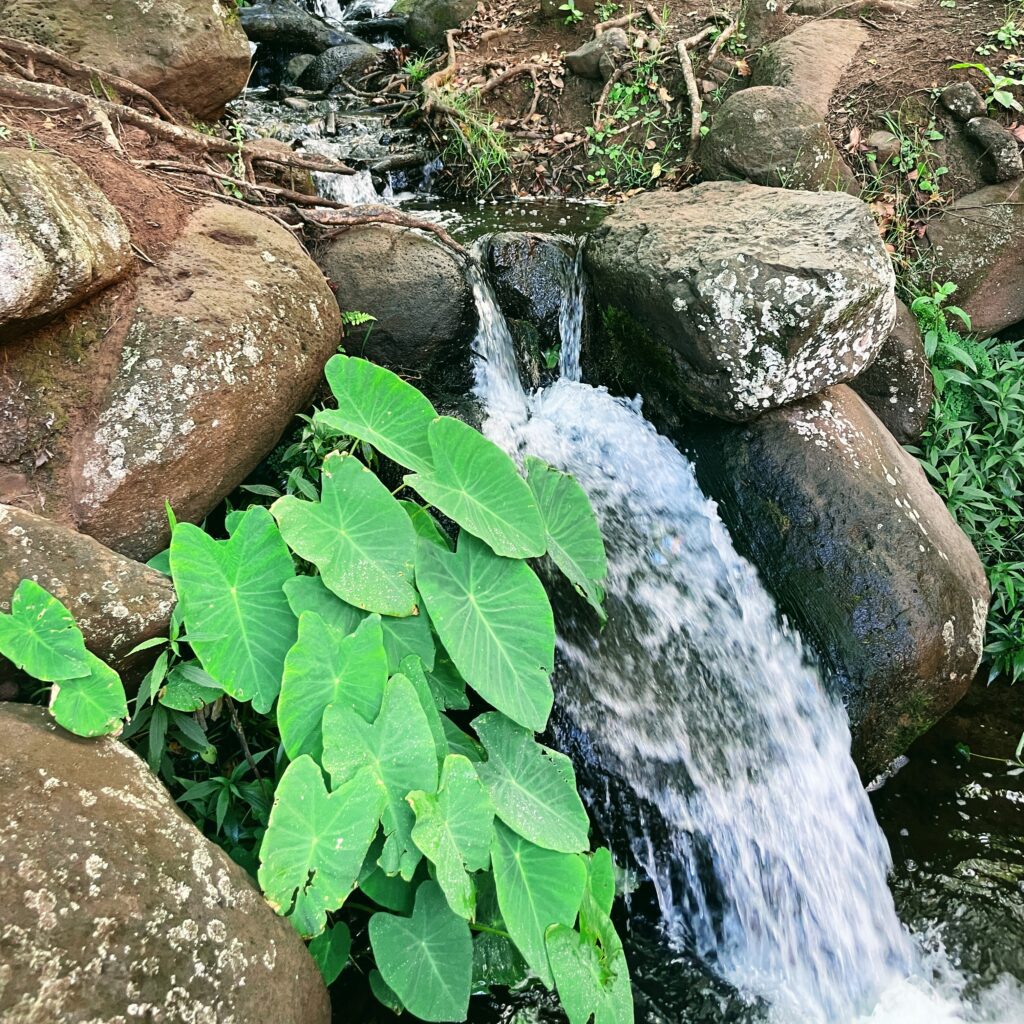 Kalalau Trail Adventure: My Unforgettable Hiking Experience on Kaua'i Hawaii Calling a small waterfall surrounded by rocks