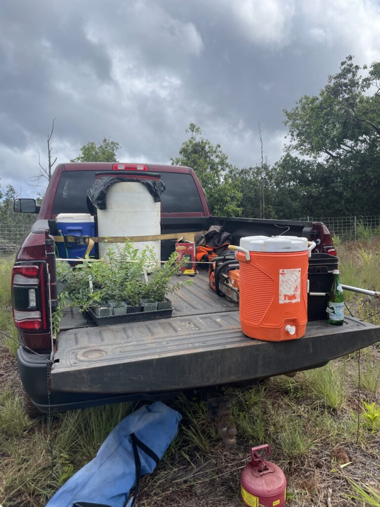 What to Expect as a Waimea Valley Volunteer: An Unforgettable Experience Hawaii Calling a truck with a bucket of water and plants in the back