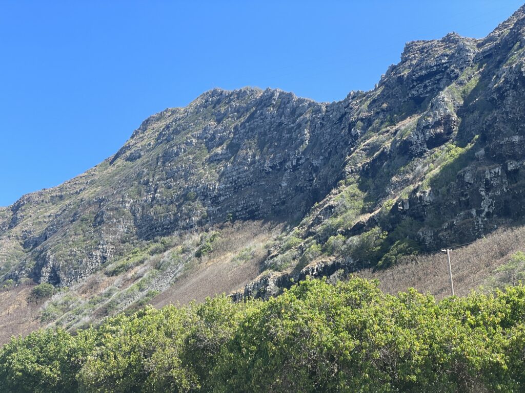 Kaupō Hillside Restoration: How to Get Involved as a Volunteer Hawaii Calling a mountain with trees in the background
