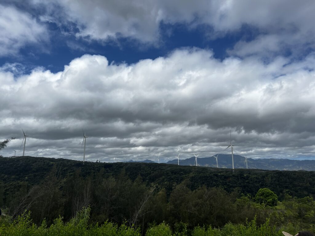 What to Expect as a Waimea Valley Volunteer: An Unforgettable Experience Hawaii Calling a group of wind turbines on a hill