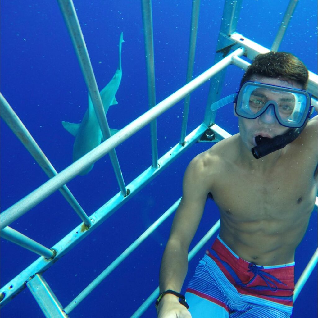 The Ultimate Oahu Shark Diving Experience: Everything You Need To Know Hawaii Calling a man wearing snorkeling gear underwater with a shark