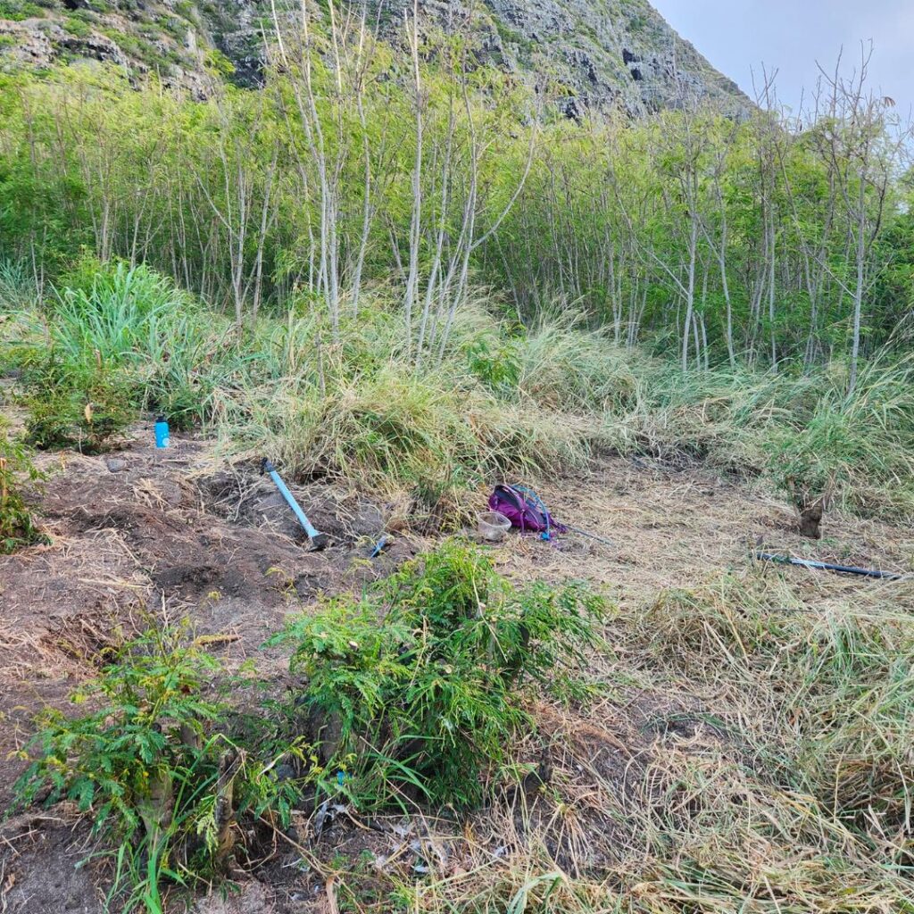 Guide to Volunteering on Oahu: 14 Unforgettable Ways to Give Back Hawaii Calling a dirt field with trees and a mountain in the background