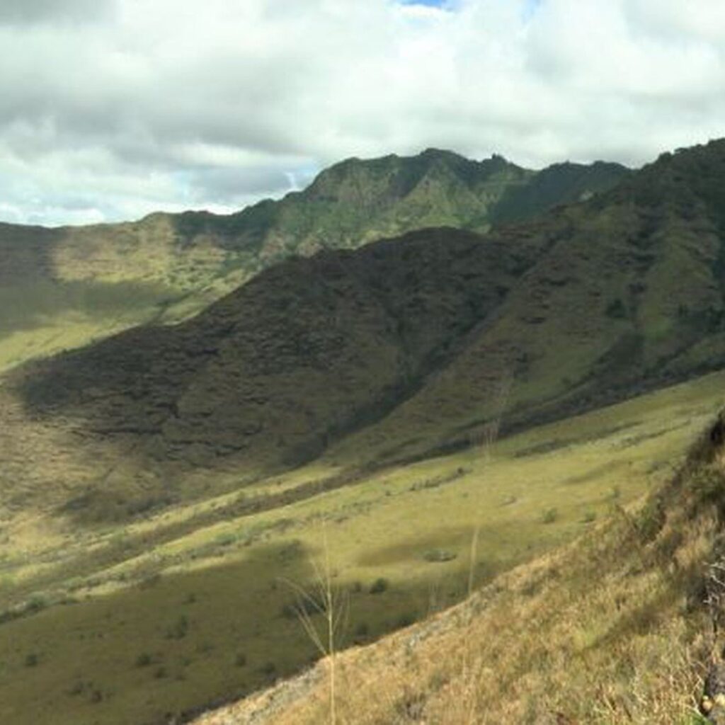 Guide to Volunteering on Oahu: 14 Unforgettable Ways to Give Back Hawaii Calling a green hills with a cloudy sky