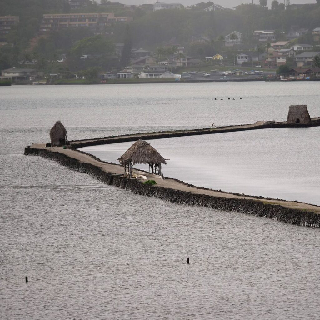 Guide to Volunteering on Oahu: 14 Unforgettable Ways to Give Back Hawaii Calling a long dock with a couple of animals on it