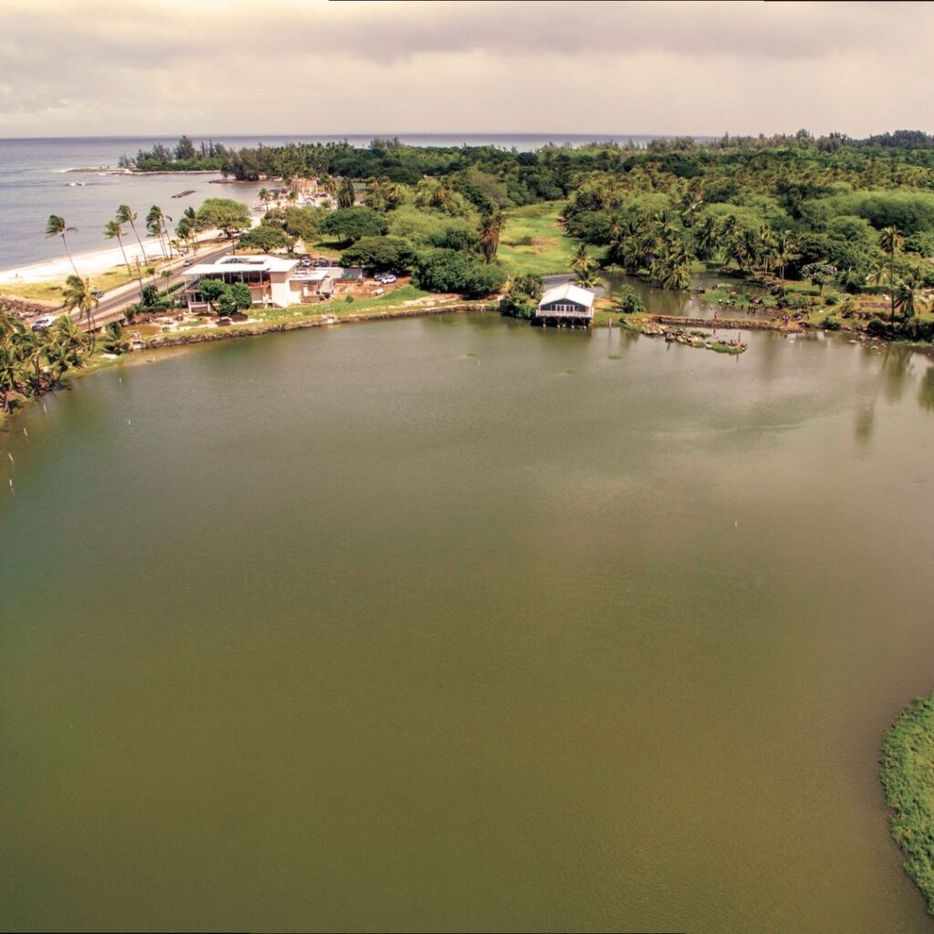Guide to Volunteering on Oahu: 14 Unforgettable Ways to Give Back Hawaii Calling a body of water with trees and buildings