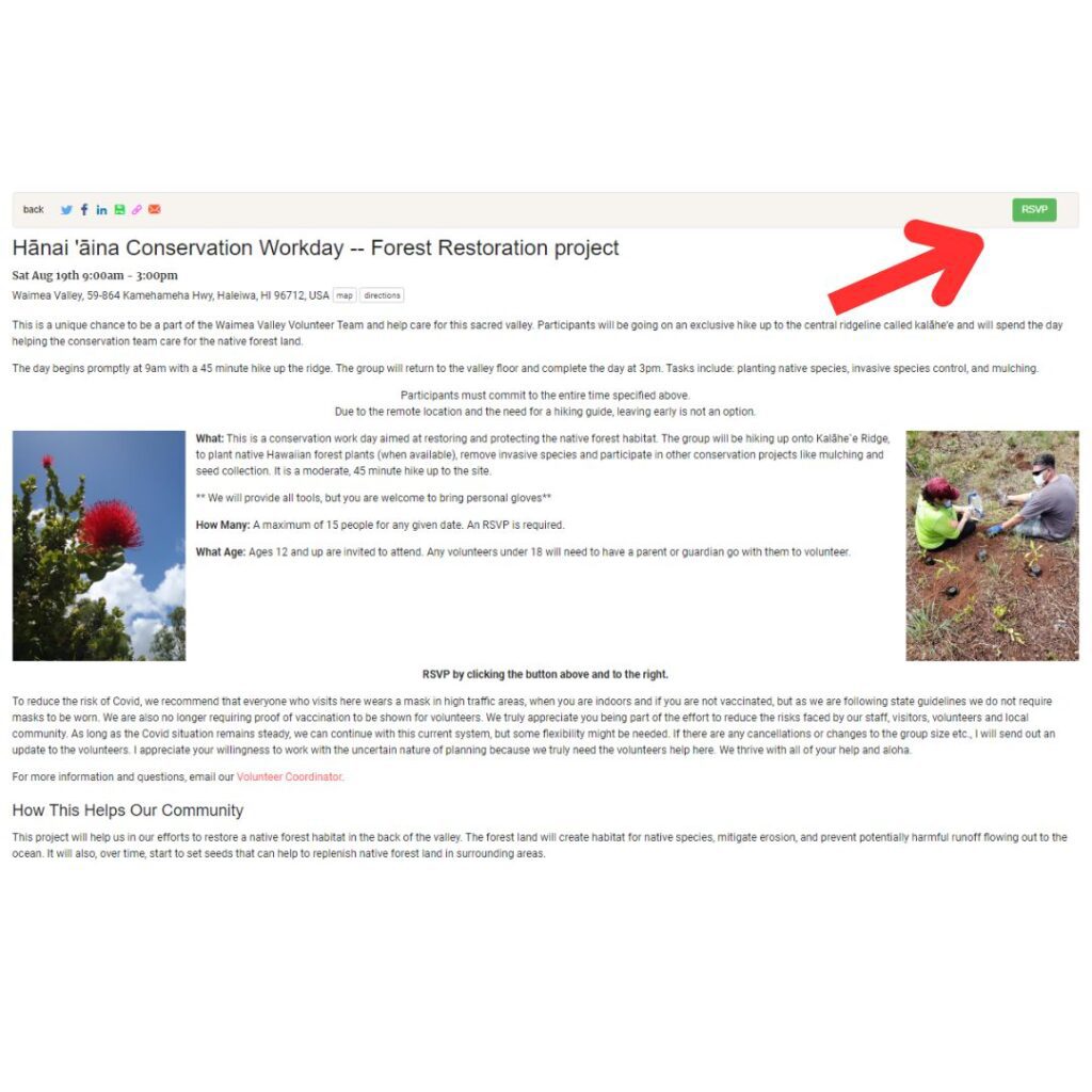 What to Expect as a Waimea Valley Volunteer: An Unforgettable Experience Hawaii Calling a screenshot of a computer