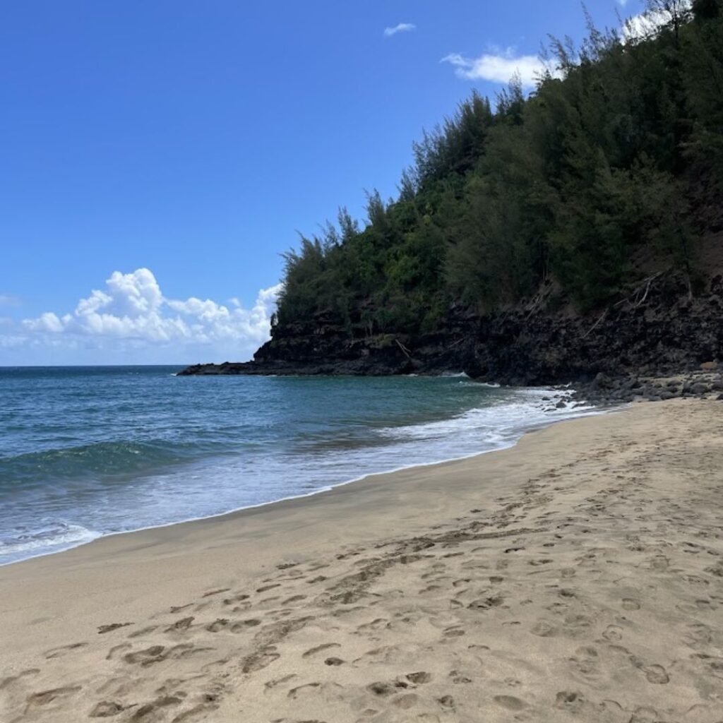 Kalalau Trail Guide: Planning Your Ultimate Hiking Adventure Hawaii Calling a sandy beach with trees and water