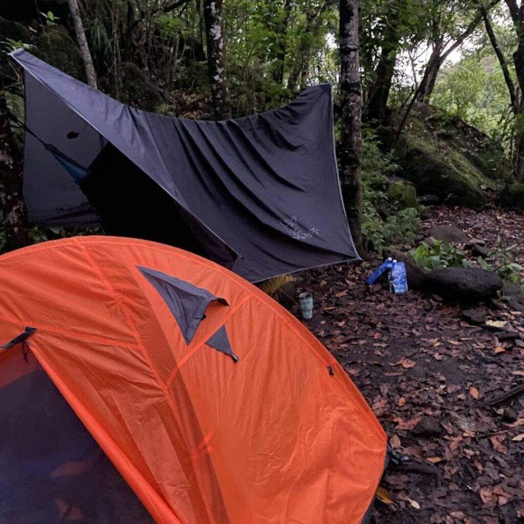 Kalalau Trail Guide: Planning Your Ultimate Hiking Adventure Hawaii Calling a two tents in the woods
