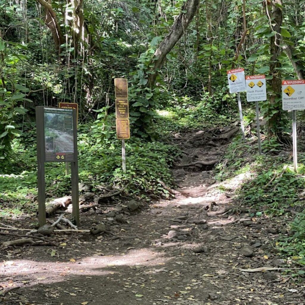 Kalalau Trail Guide: Planning Your Ultimate Hiking Adventure Hawaii Calling a trail with signs in the woods