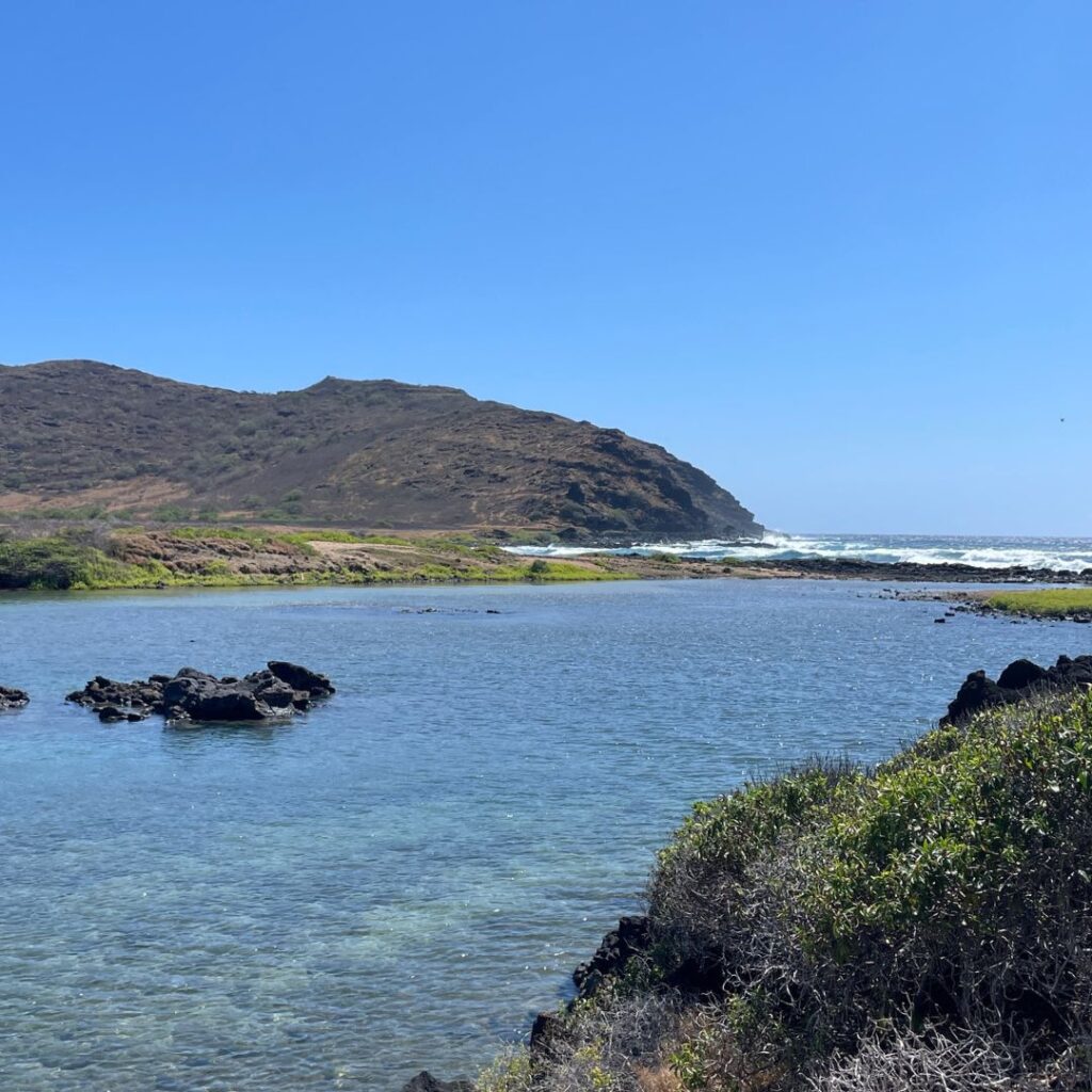 Kaloko Inlet Restoration: The Ultimate Coastal Volunteer Opportunity Hawaii Calling Beautiful view of the Kaloko Inlet running off into the ocean. We saw this as volunteers of the Kaloko Inlet Restoration project.