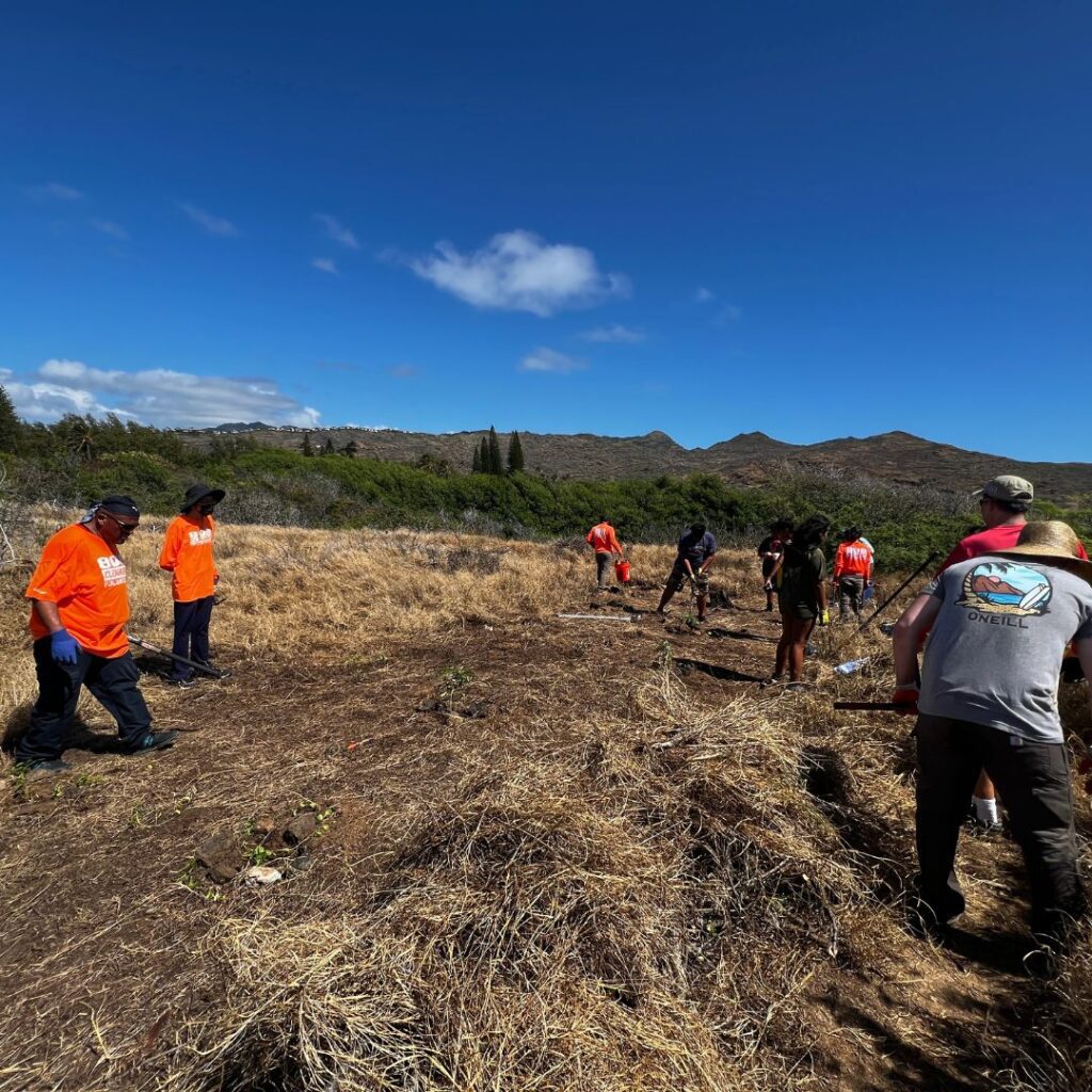 Kaloko Inlet Restoration: The Ultimate Coastal Volunteer Opportunity Hawaii Calling a group of people in a field