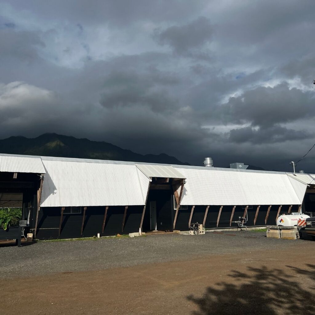 Kākoʻo ʻŌiwi Volunteer Initiative: Unveiling the Spectacular Legacy of Lo'i Hawaii Calling a building with a white roof