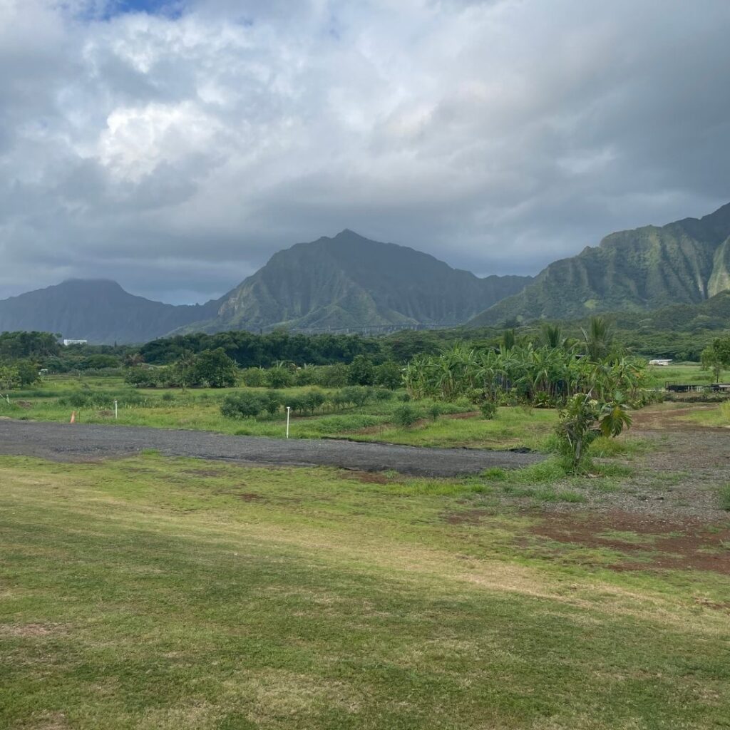 Kākoʻo ʻŌiwi Volunteer Initiative: Unveiling the Spectacular Legacy of Lo'i Hawaii Calling a green field with mountains in the background