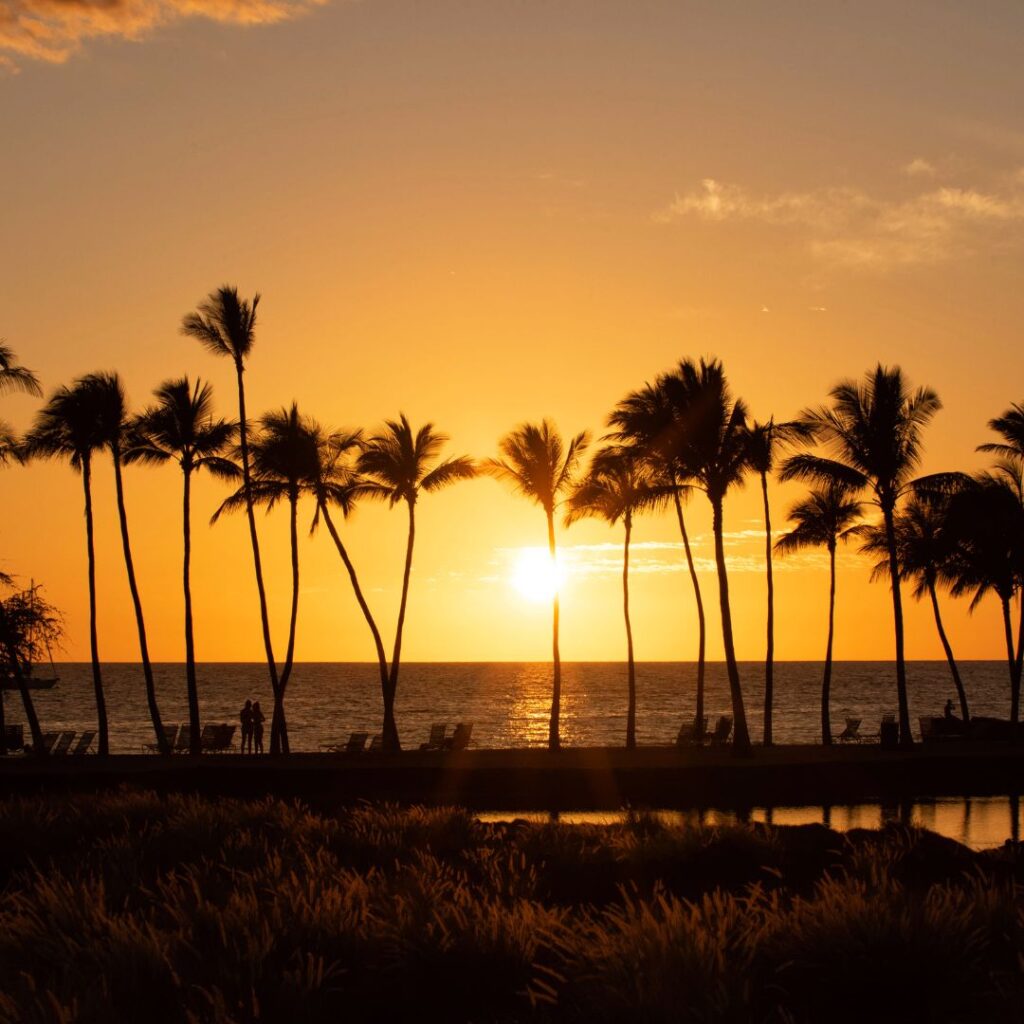 a sunset over a beach with palm trees