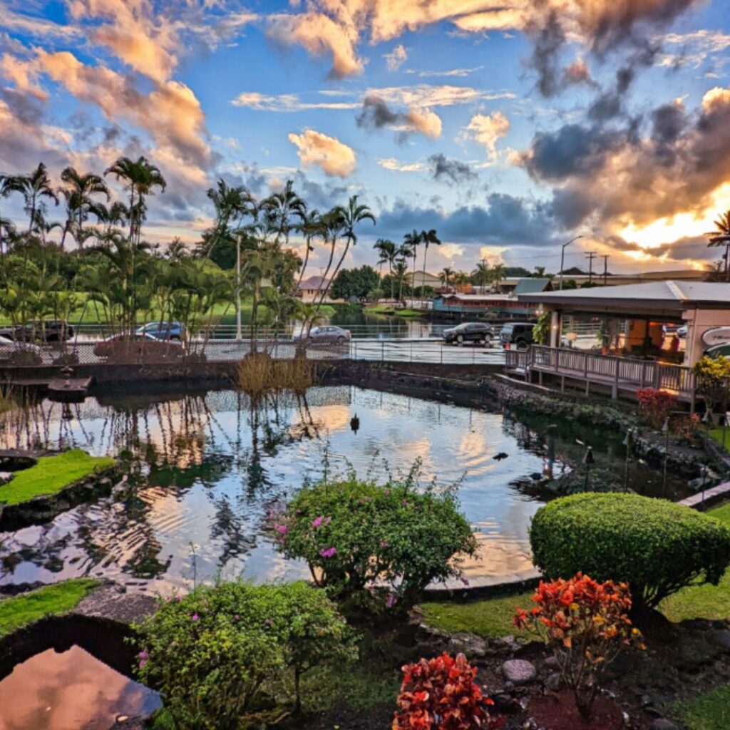 a pond with trees and bushes around it