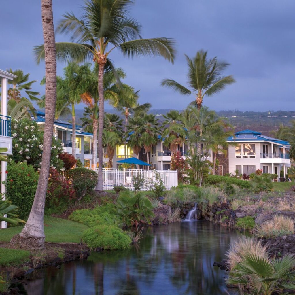 a group of houses with palm trees and a pond