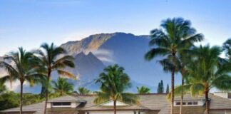 12 Best Family Hotels On Kaua’i for a Dream Hawaiian Vacation a large building with palm trees and a lawn