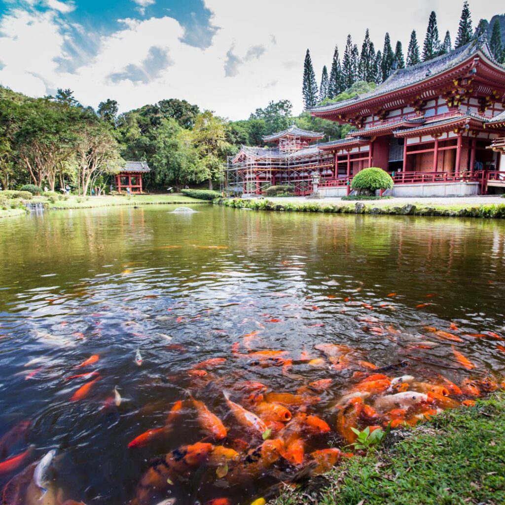Top 50 Free And Cheap Things To Do On Oahu (2025) Hawaii Calling a pond with a building and a pond with fish