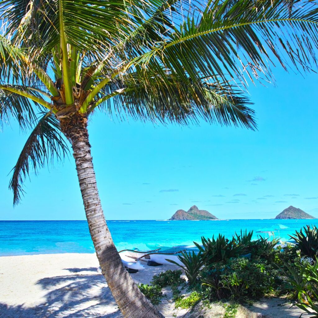Top 50 Free And Cheap Things To Do On Oahu (2025) Hawaii Calling One of the best free and cheap things to do on Oahu is visit the beach.