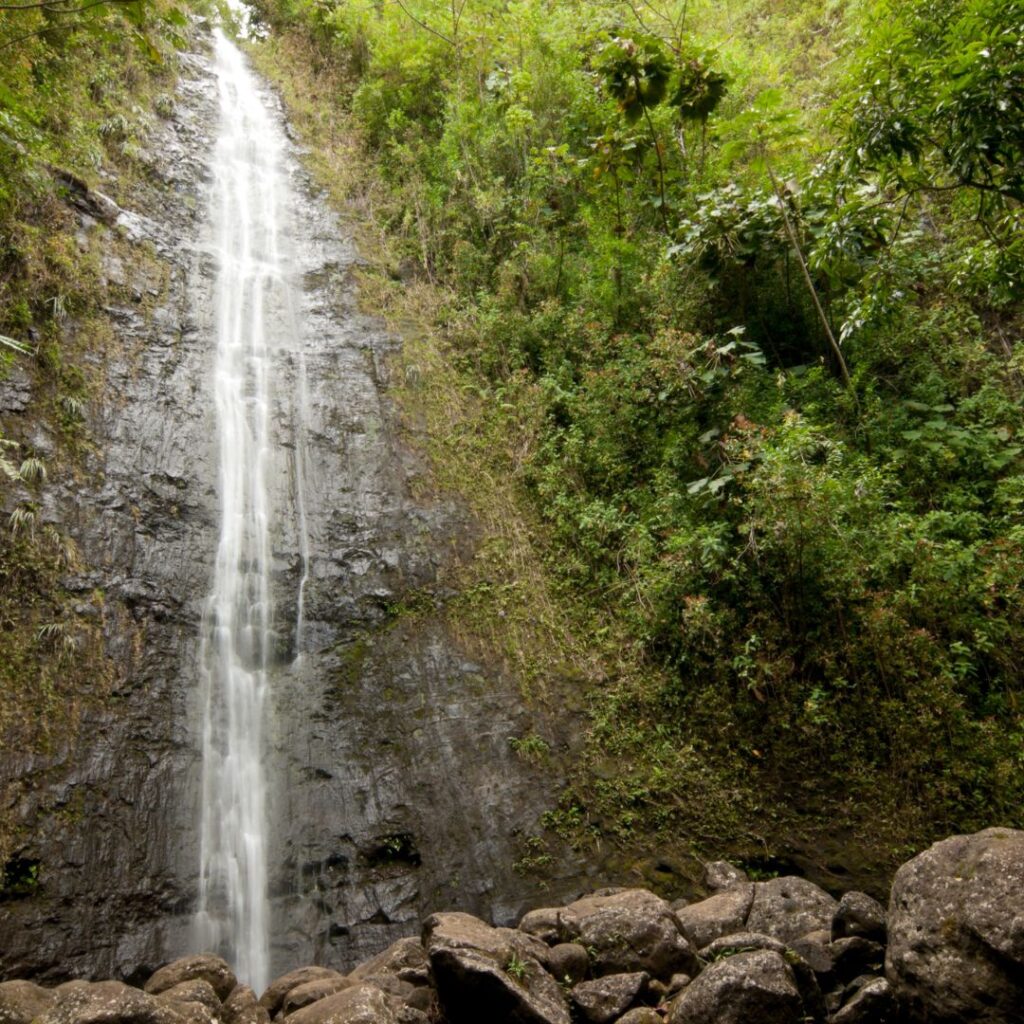 Top 50 Free And Cheap Things To Do On Oahu (2025) Hawaii Calling a waterfall in the middle of a forest
