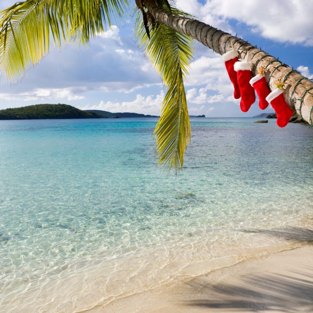 What's the Best Island to Visit in Hawaii in December (2025)? Hawaii Calling a palm tree with red socks from it
