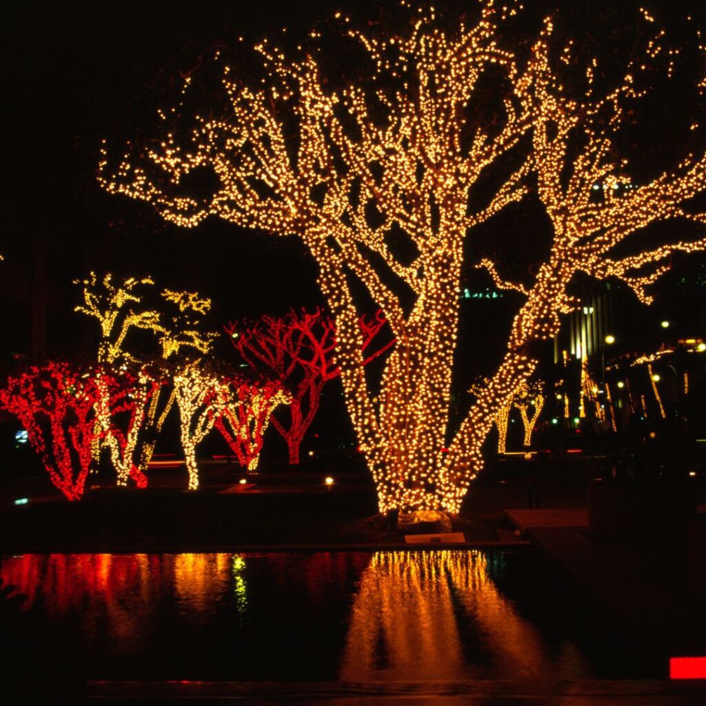 What's the Best Island to Visit in Hawaii in December (2025)? Hawaii Calling trees with lights on it on O'ahu which is one of the best island to visit in Hawaii in December.