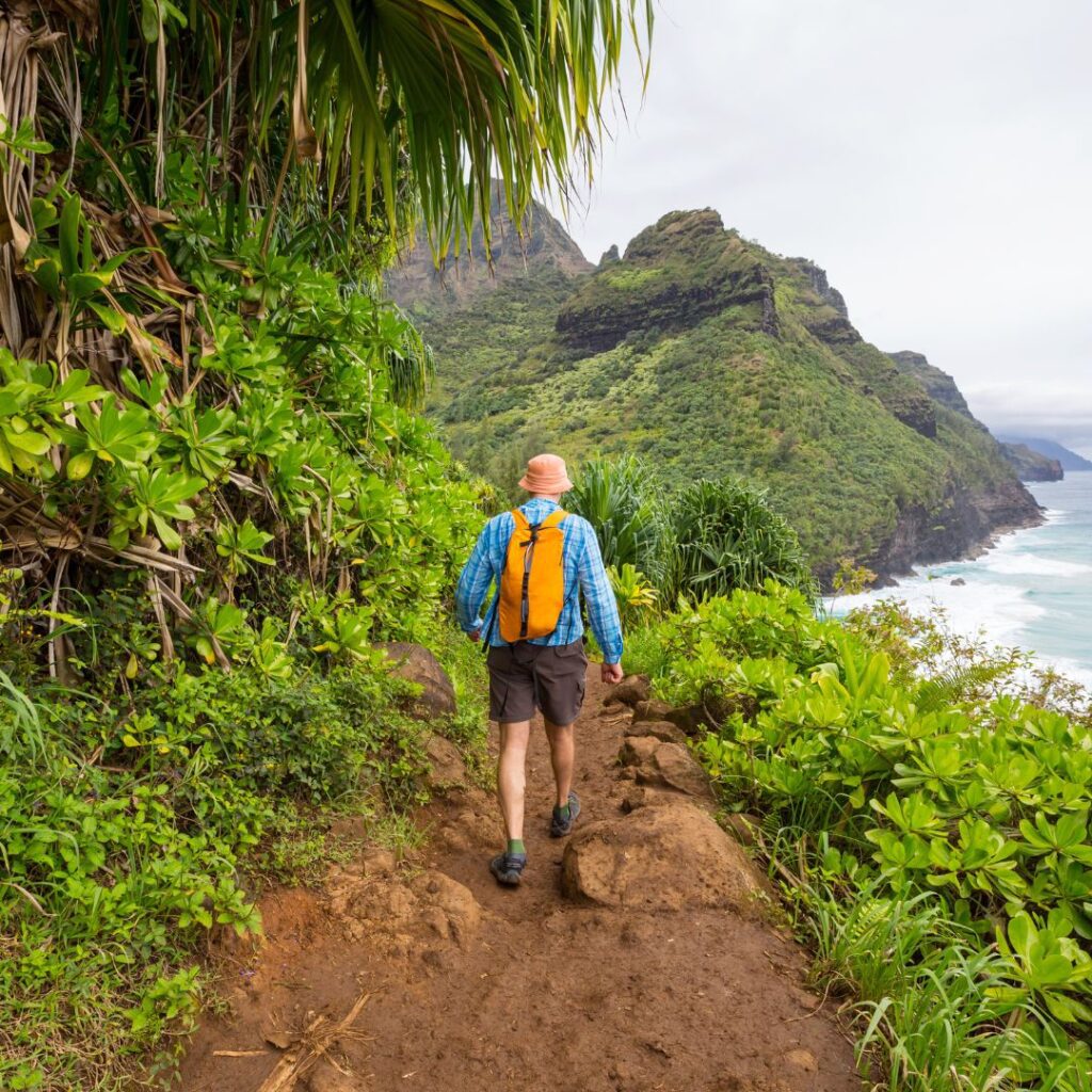 What's the Best Island to Visit in Hawaii in December (2025)? Hawaii Calling a man walking on a path with a body of water in the background