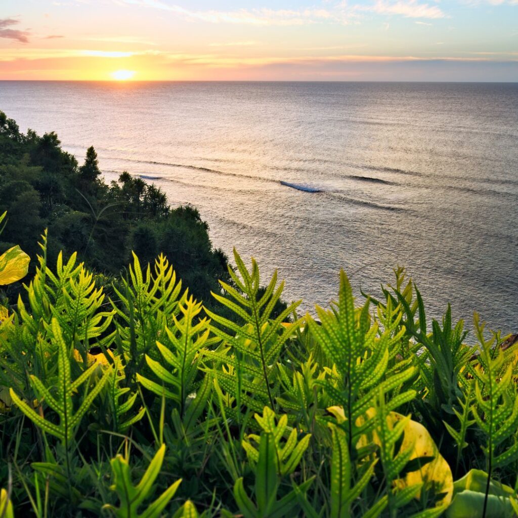 What's the Best Island to Visit in Hawaii in December (2025)? Hawaii Calling a view of a body of water and a green plant