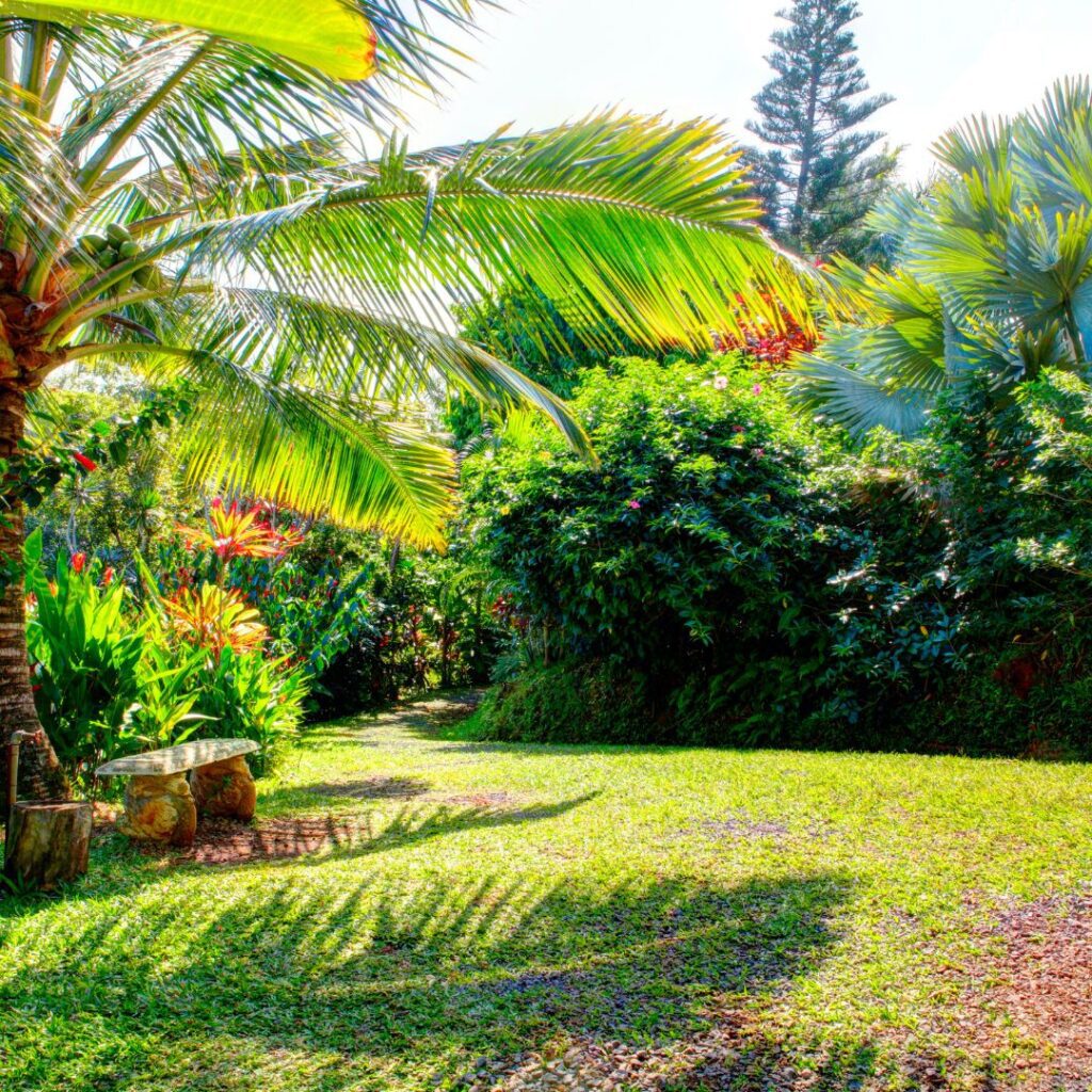 10 Best Things To Do On O'ahu In November (2025) Hawaii Calling a green lawn with trees and bushes