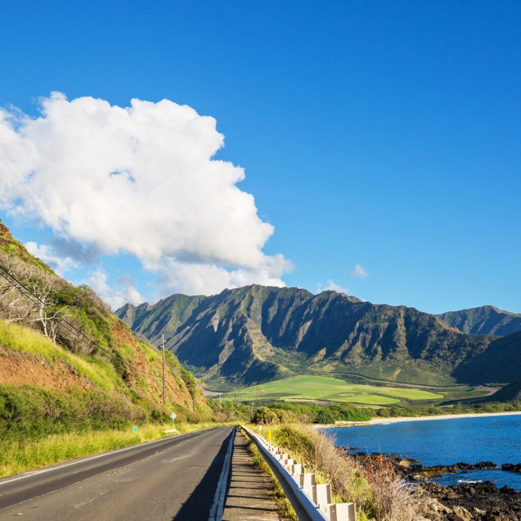 10 Best Things To Do On O'ahu In November (2025) Hawaii Calling Enjoying the Beautiful weather is one of the best things to do on O'ahu in November