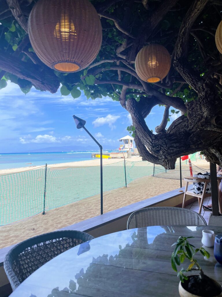 15 Best Beachfront Hotels On Oahu (2025) | Waterfront Bliss Hawaii Calling a tree with lights from it