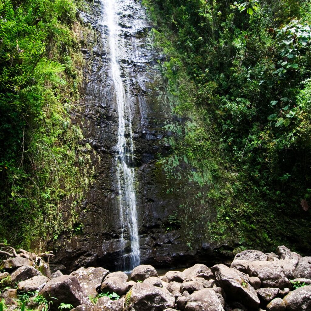10 Spectacular Waterfall Hikes on Oahu Hawaii Calling a waterfall in the middle of a forest