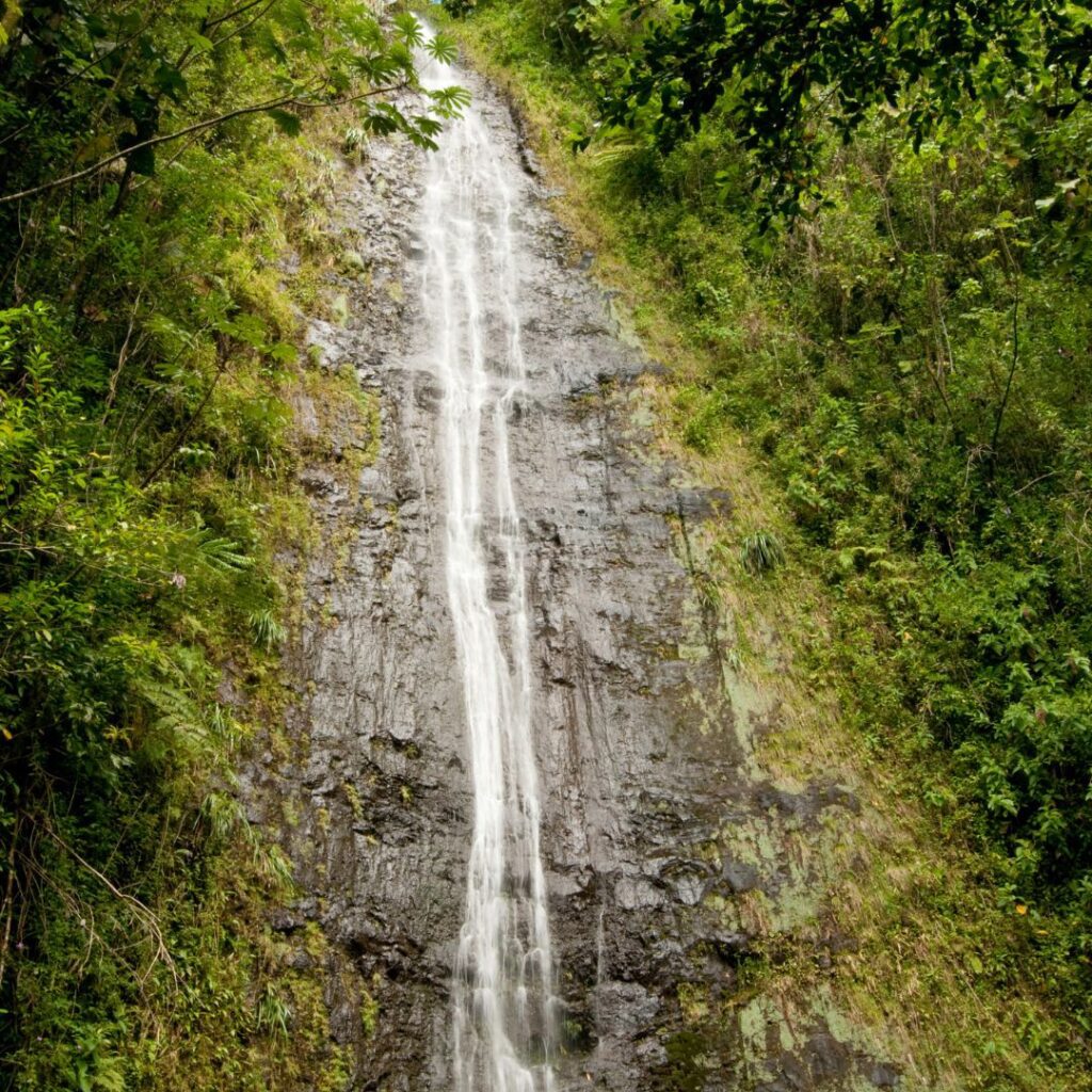 10 Spectacular Waterfall Hikes on Oahu Hawaii Calling a waterfall in the forest