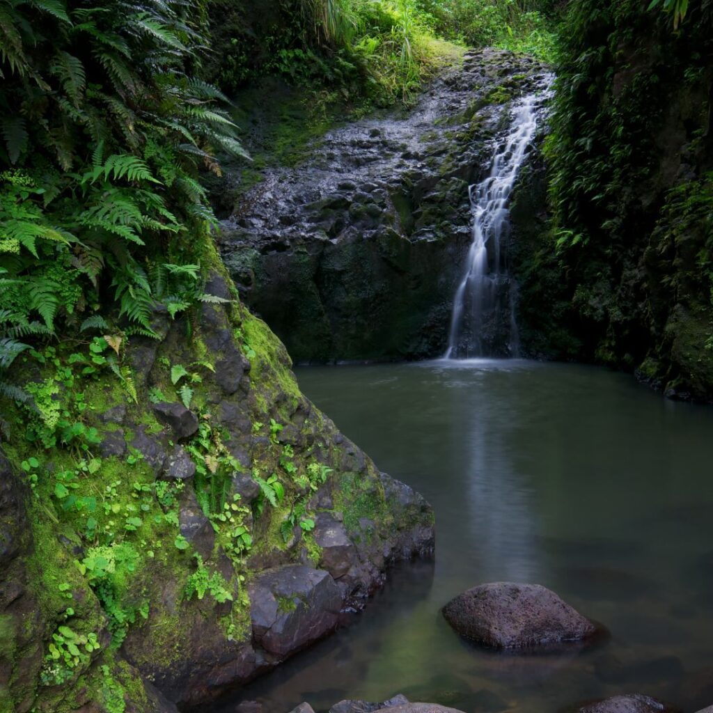 10 Spectacular Waterfall Hikes on Oahu Hawaii Calling a waterfall in a forest