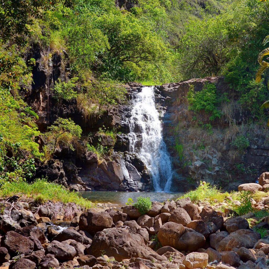 10 Spectacular Waterfall Hikes on Oahu Hawaii Calling a waterfall in a forest