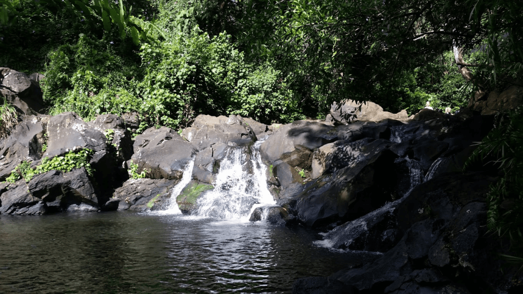 10 Spectacular Waterfall Hikes on Oahu Hawaii Calling a waterfall in a forest
