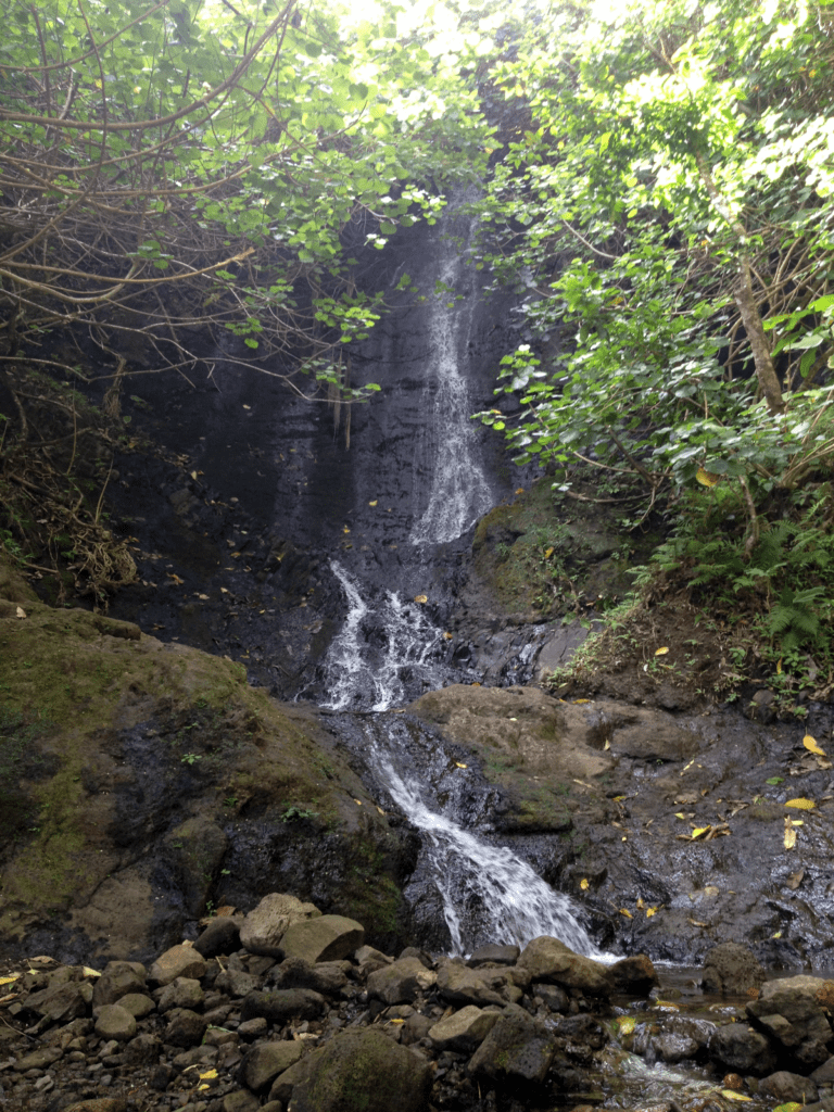 10 Spectacular Waterfall Hikes on Oahu Hawaii Calling a waterfall in a forest