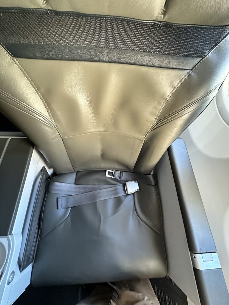 Review: Alaska Airlines Boeing 737 Max 9 First Class SEA-HNL Hawaii Calling a seat in a plane