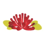 41 Top Hawaii Travel Apps: Must-Have Tools (2025) Hawaii Calling a red and yellow flower