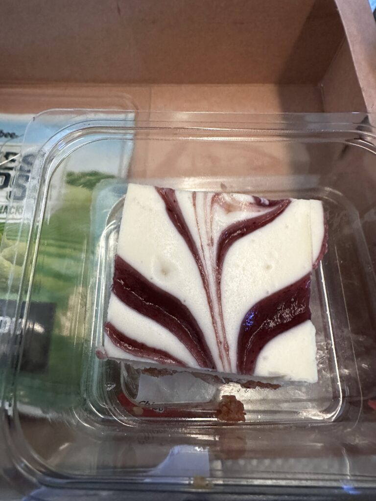 American Airlines DFW-HNL Premium Economy Review | Boeing 777 Hawaii Calling a piece of cake in a plastic container