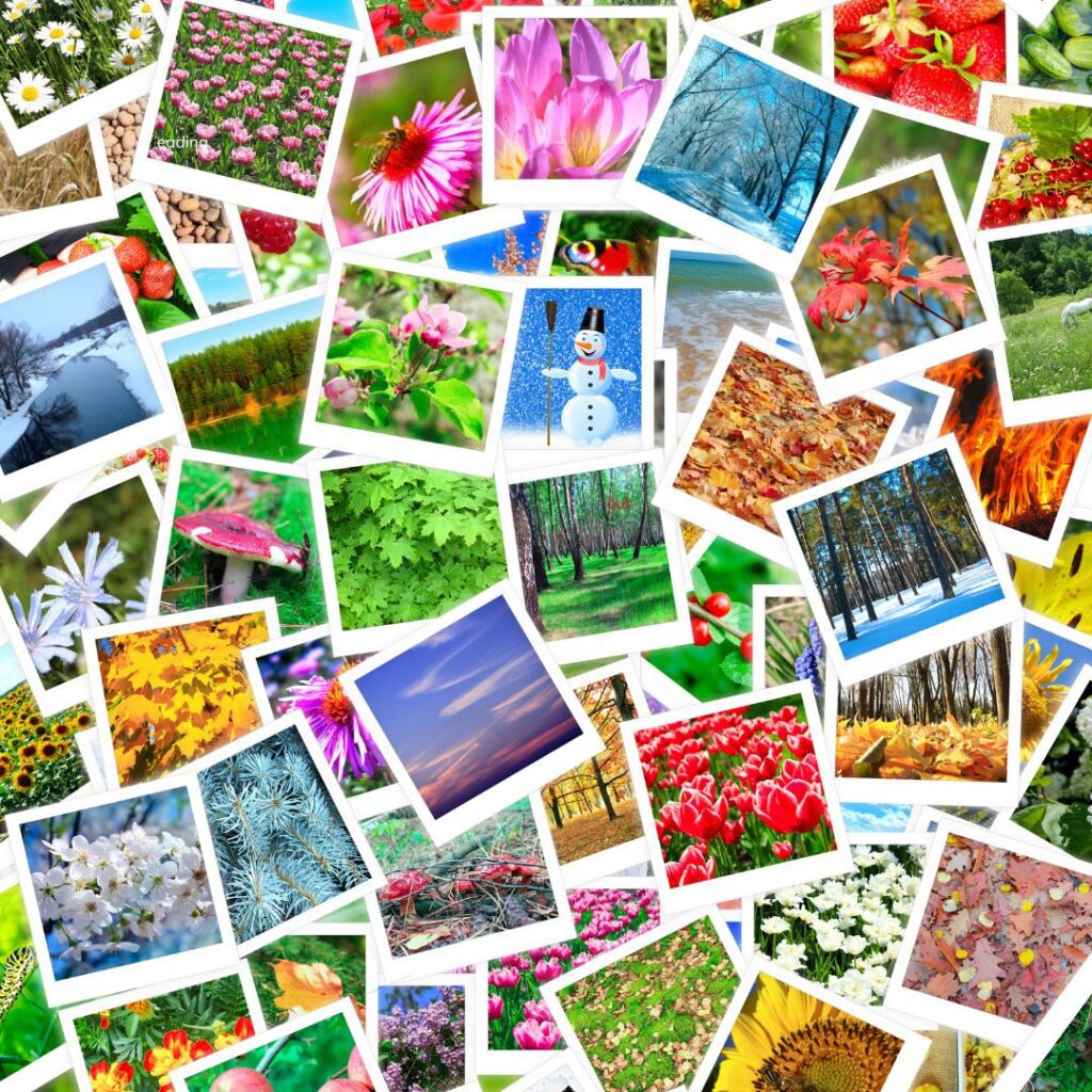 25 Fun & Creative Things To Do On A Long Flight To Hawai'i Hawaii Calling a pile of photos of different flowers and plants