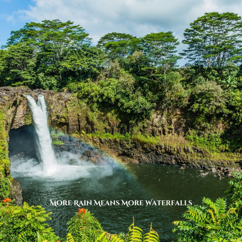 What's the Best Island to Visit in Hawaii in January (2025)? Hawaii Calling a waterfall in a forest is why picking the best island to visit in Hawaii in january is important