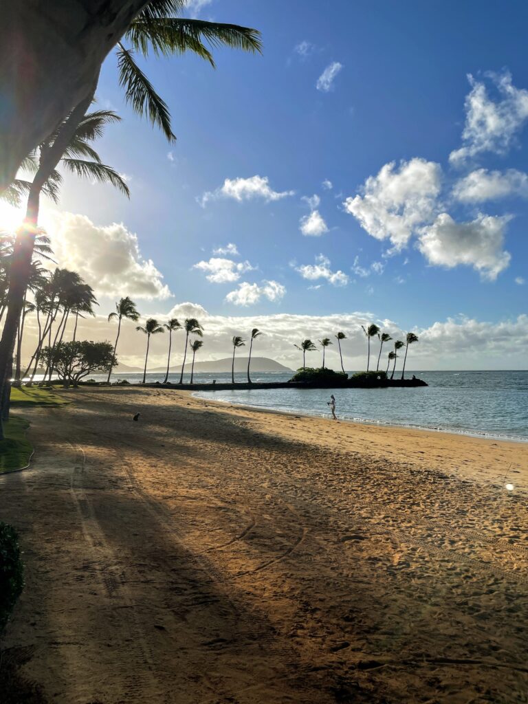 What Hotel Was The New Lilo & Stitch Movie Filmed? Inside the Iconic Kahala Hotel On Oahu Hawaii Calling a beach with palm trees and a body of water