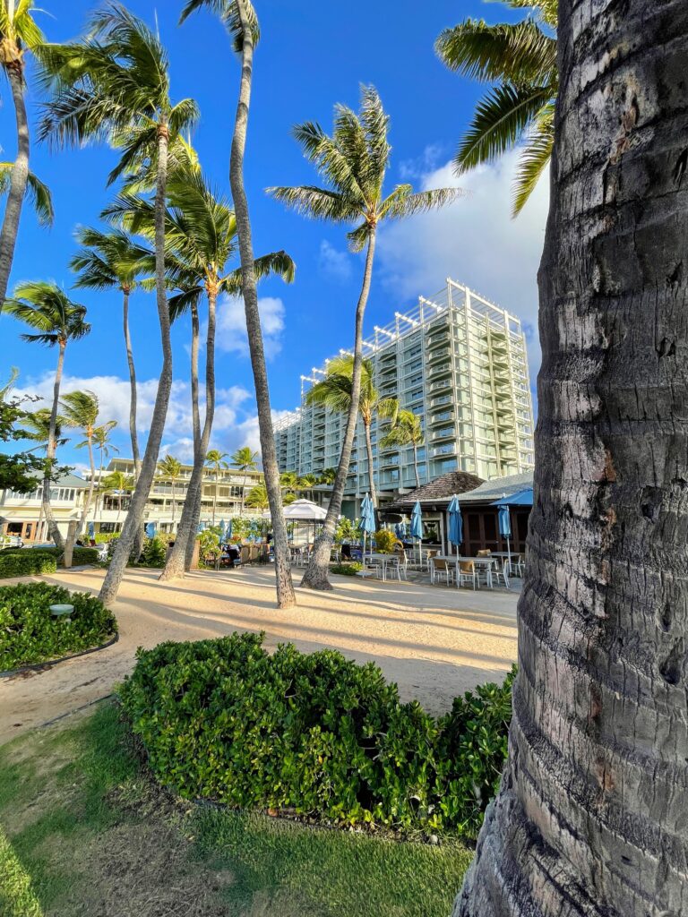 What Hotel Was The New Lilo & Stitch Movie Filmed? Inside the Iconic Kahala Hotel On Oahu Hawaii Calling a palm trees and a building