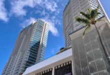a tall buildings with a palm tree